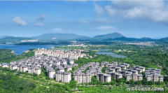 呈现多元化成长态